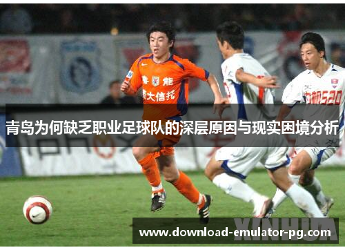 青岛为何缺乏职业足球队的深层原因与现实困境分析