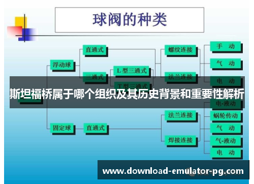 斯坦福桥属于哪个组织及其历史背景和重要性解析